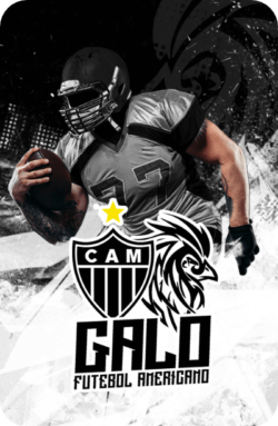 patrocinio-galo-fa