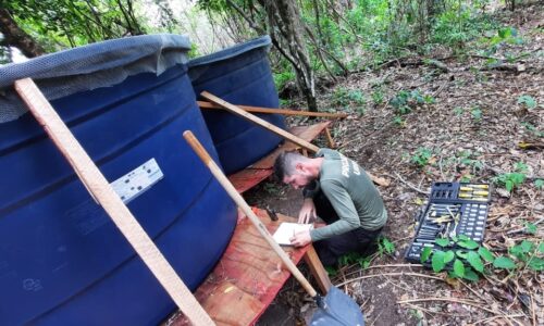 Equipe Hinova Bio retorna ao Pantanal para acompanhar andamento das ações do Projeto Urihi