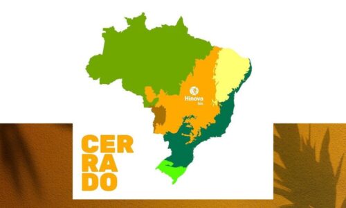 Capa_blog_Bio_Cerrado