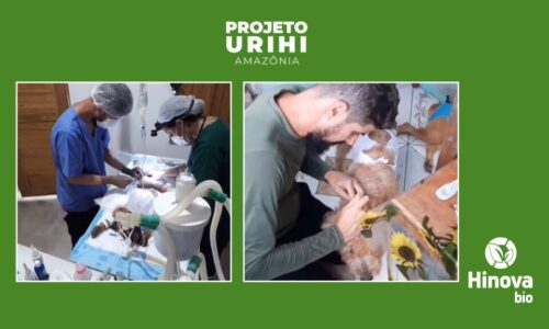 Hinova_Bio_Urihi_Amazônia
