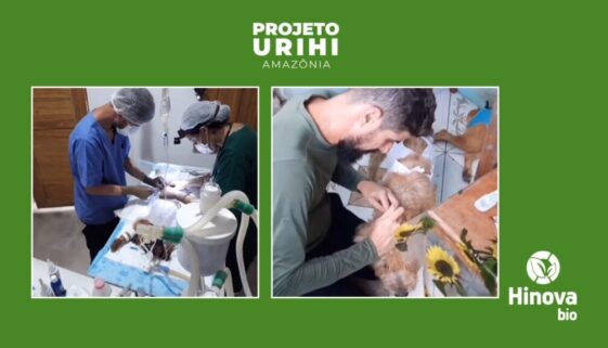 Hinova_Bio_Urihi_Amazônia