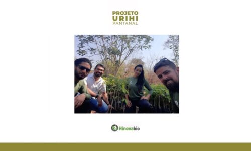 Projeto Urihi - Pantanal Capa