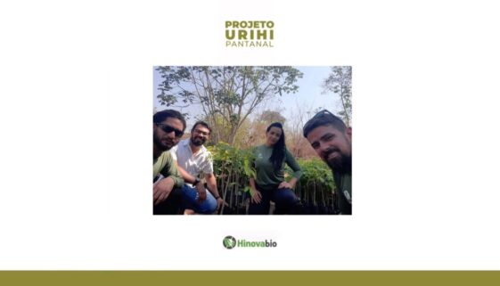 Projeto Urihi - Pantanal Capa