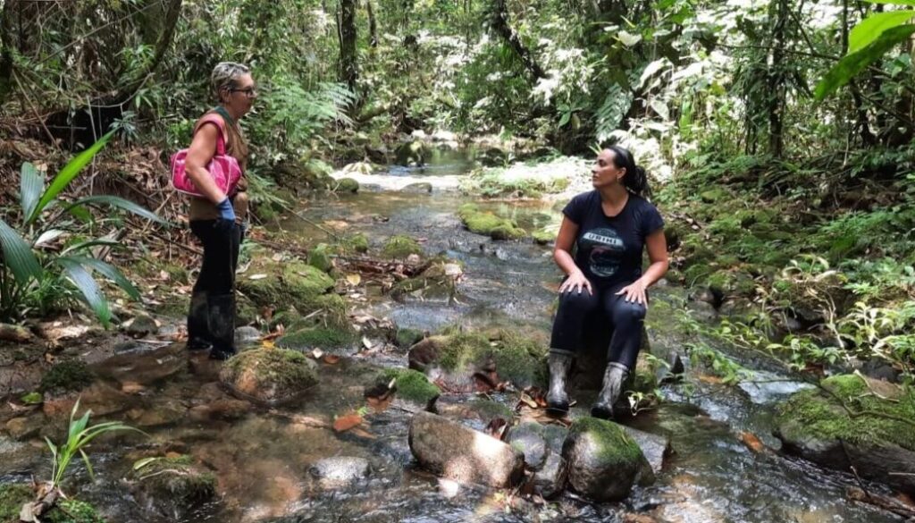 Hinova_Bio_Mata_Atlântica