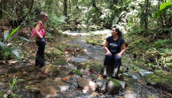 Hinova_Bio_Mata_Atlântica