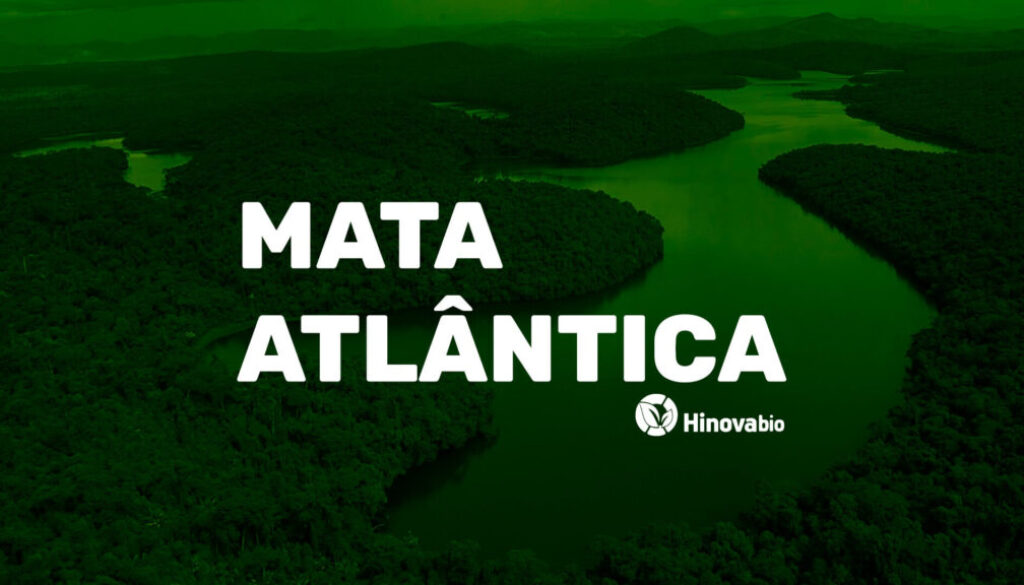 Capa_mata_atlantica