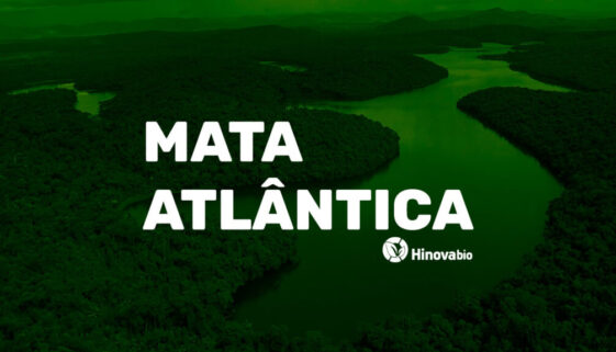 Capa_mata_atlantica