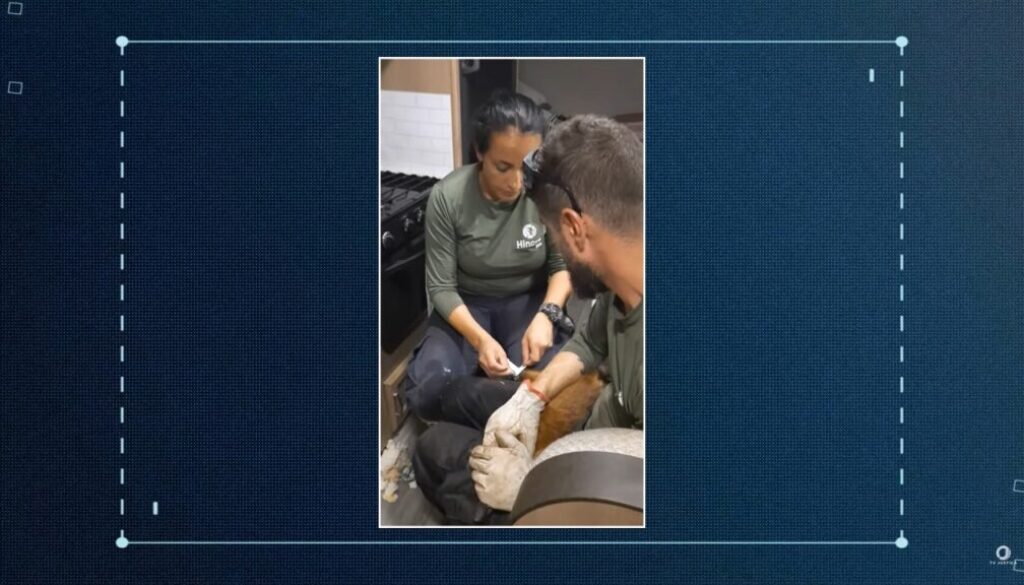 Hinova Bio reportagem