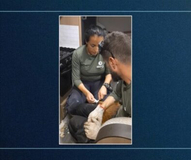 Hinova Bio reportagem